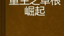重生之草根崛起,草根崛起之路